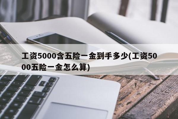 6686体育下载：工资5000含五险一金到手多少(工资5000五险一金怎么算)(图1)